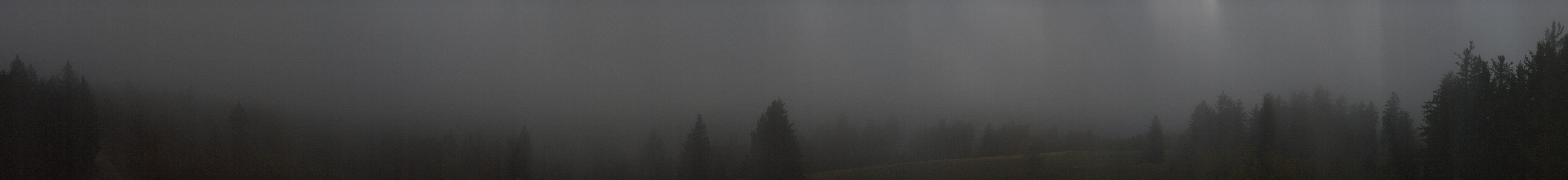 Archiv Foto Webcam Schwarzwald - Brendturm