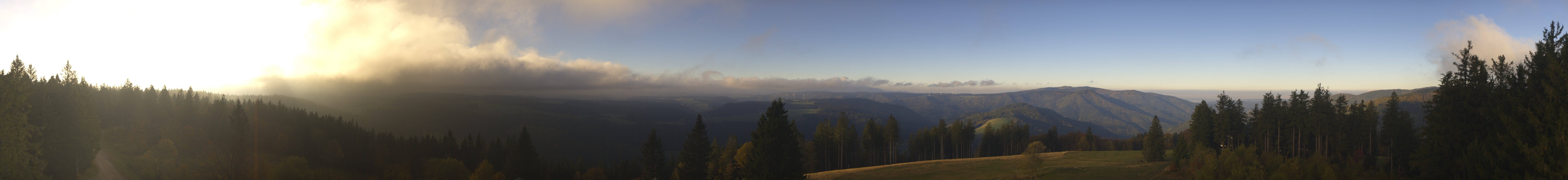 Archiv Foto Webcam Schwarzwald - Brendturm