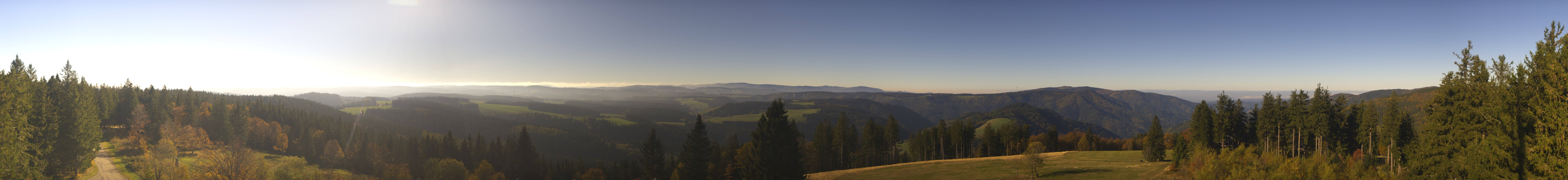 Archiv Foto Webcam Schwarzwald - Brendturm