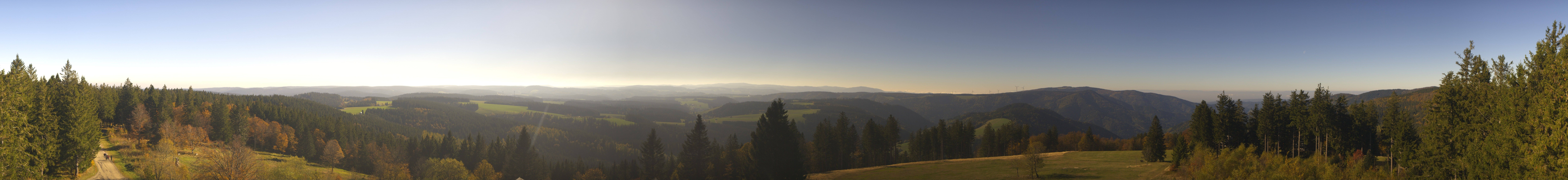 Archiv Foto Webcam Schwarzwald - Brendturm