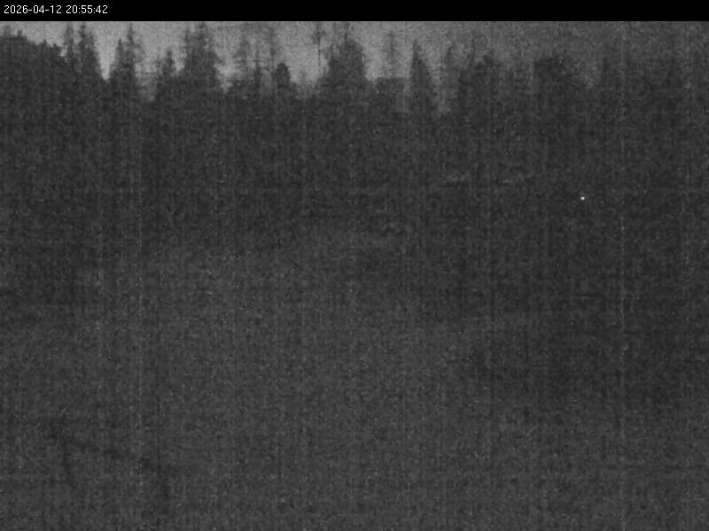 Archived image Webcam Galstersberg: Mountain Hut