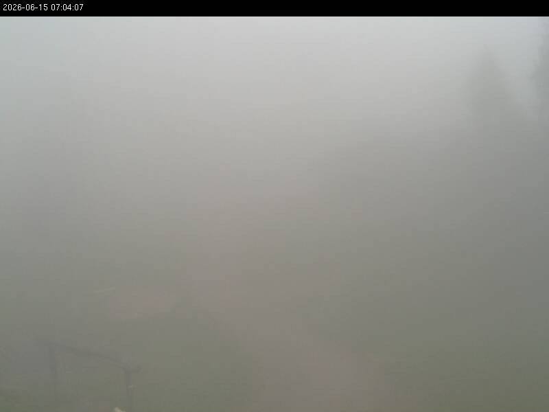 Archiv Foto Webcam Galsterbergalm Hütte