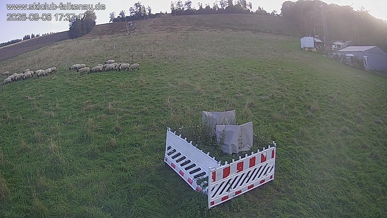 Archiv Foto Webcam Falkenau