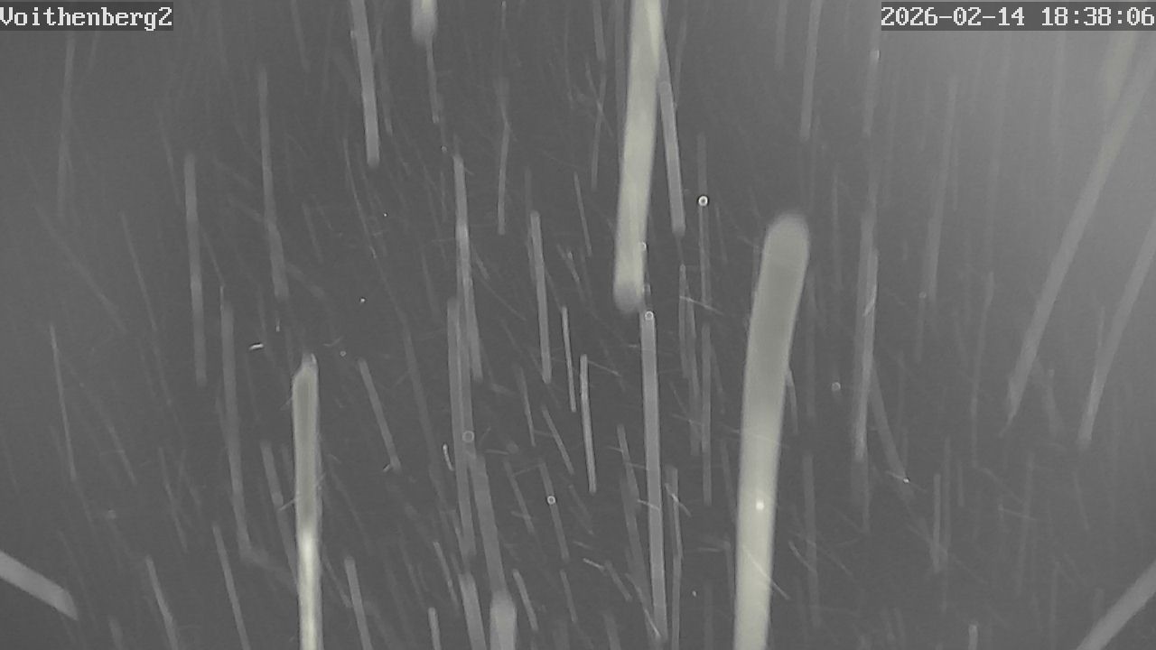 Archiv Foto Webcam Voithenberg bei Furth im Wald