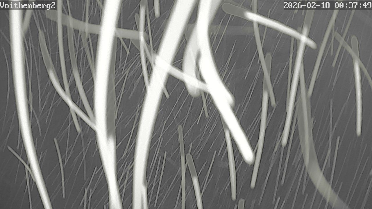 Archiv Foto Webcam Voithenberg bei Furth im Wald