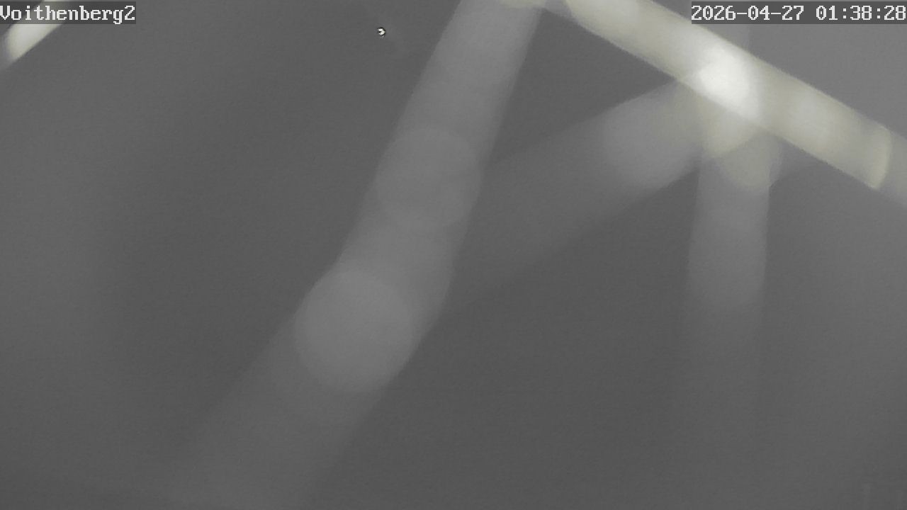 Archiv Foto Webcam Voithenberg bei Furth im Wald