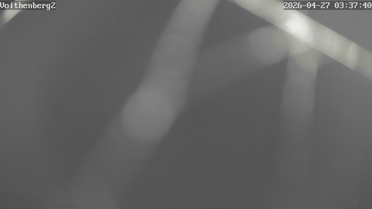 Archiv Foto Webcam Voithenberg bei Furth im Wald