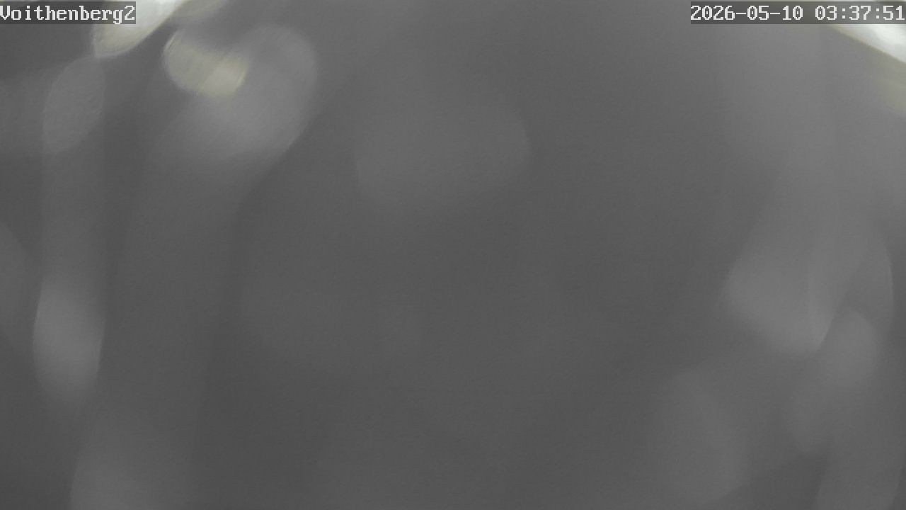 Archiv Foto Webcam Voithenberg bei Furth im Wald