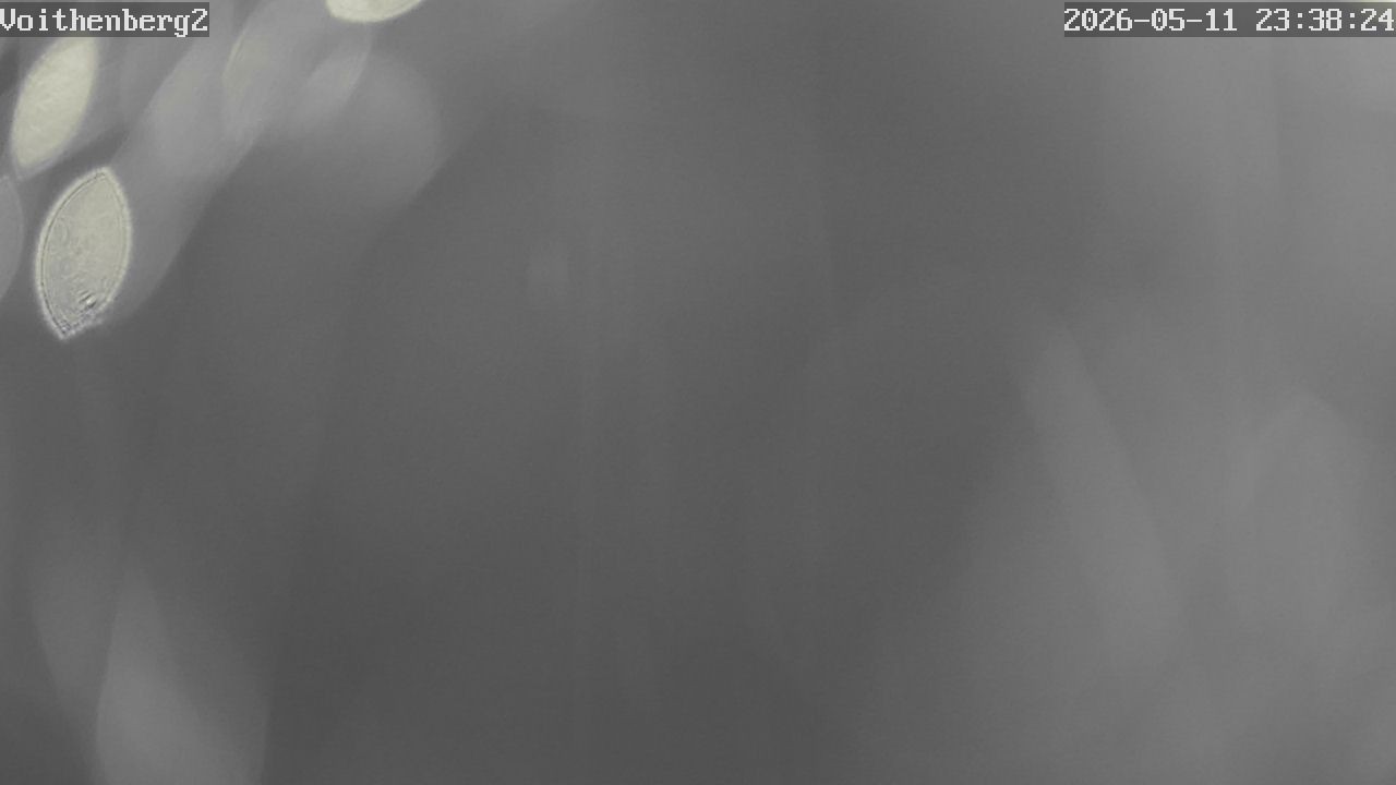 Archiv Foto Webcam Voithenberg bei Furth im Wald