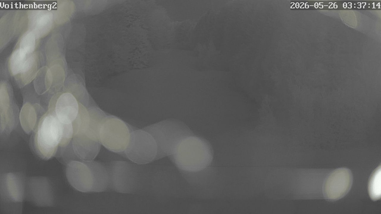 Archiv Foto Webcam Voithenberg bei Furth im Wald