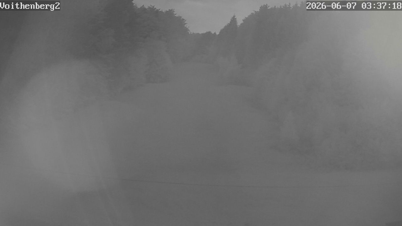 Archiv Foto Webcam Voithenberg bei Furth im Wald