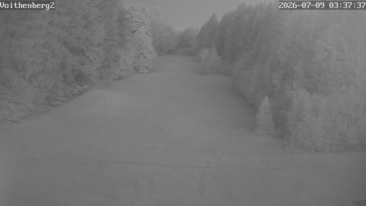 Archiv Foto Webcam Voithenberg bei Furth im Wald