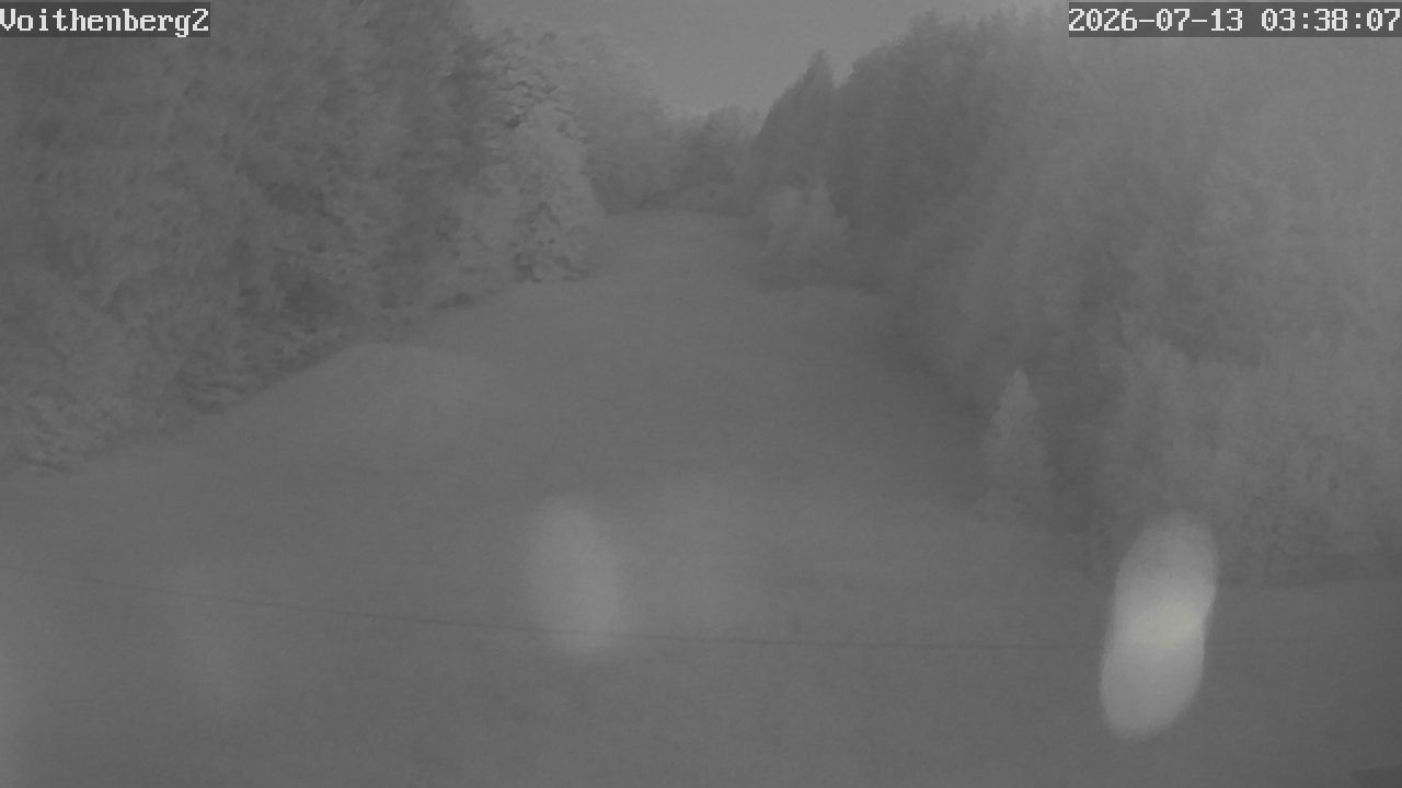 Archiv Foto Webcam Voithenberg bei Furth im Wald