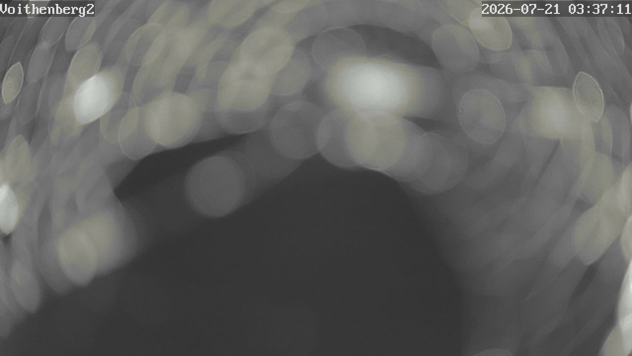 Archiv Foto Webcam Voithenberg bei Furth im Wald