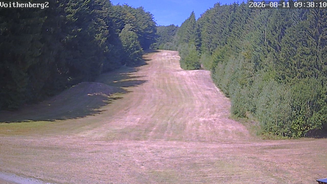 Archiv Foto Webcam Voithenberg bei Furth im Wald