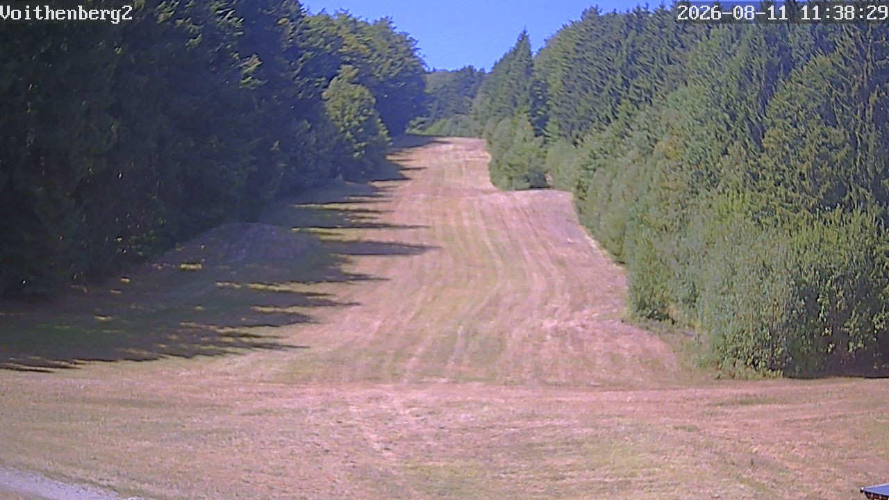 Archiv Foto Webcam Voithenberg bei Furth im Wald