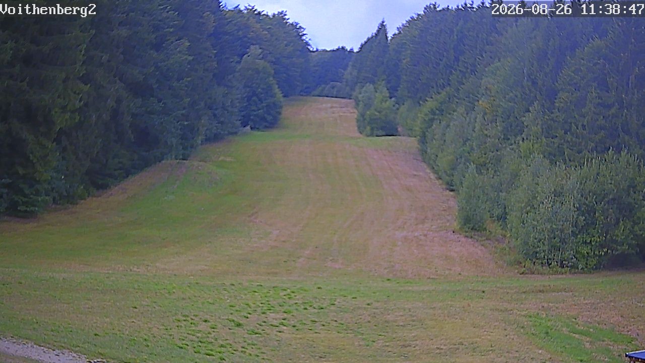 Archiv Foto Webcam Voithenberg bei Furth im Wald