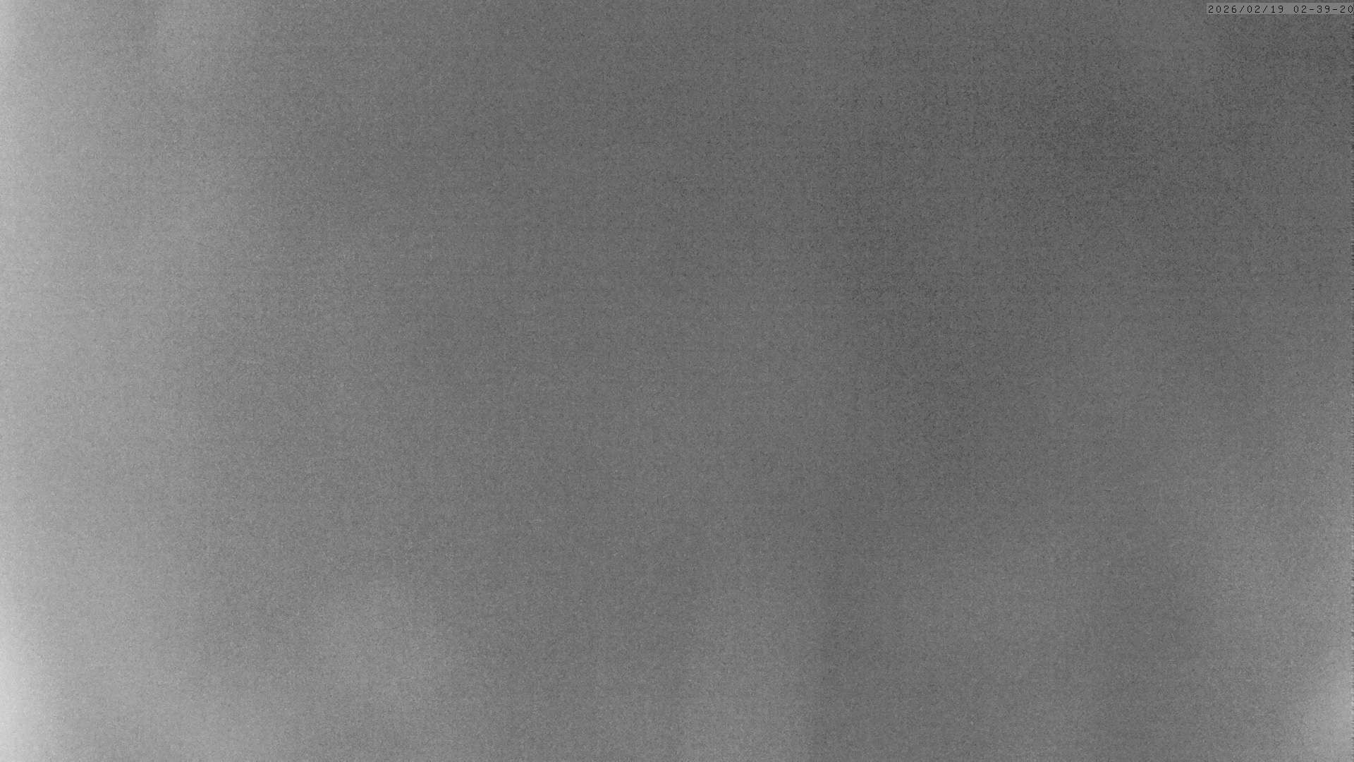 Archiv Foto Webcam Grächen: Charles Kuonen Hängebrücke