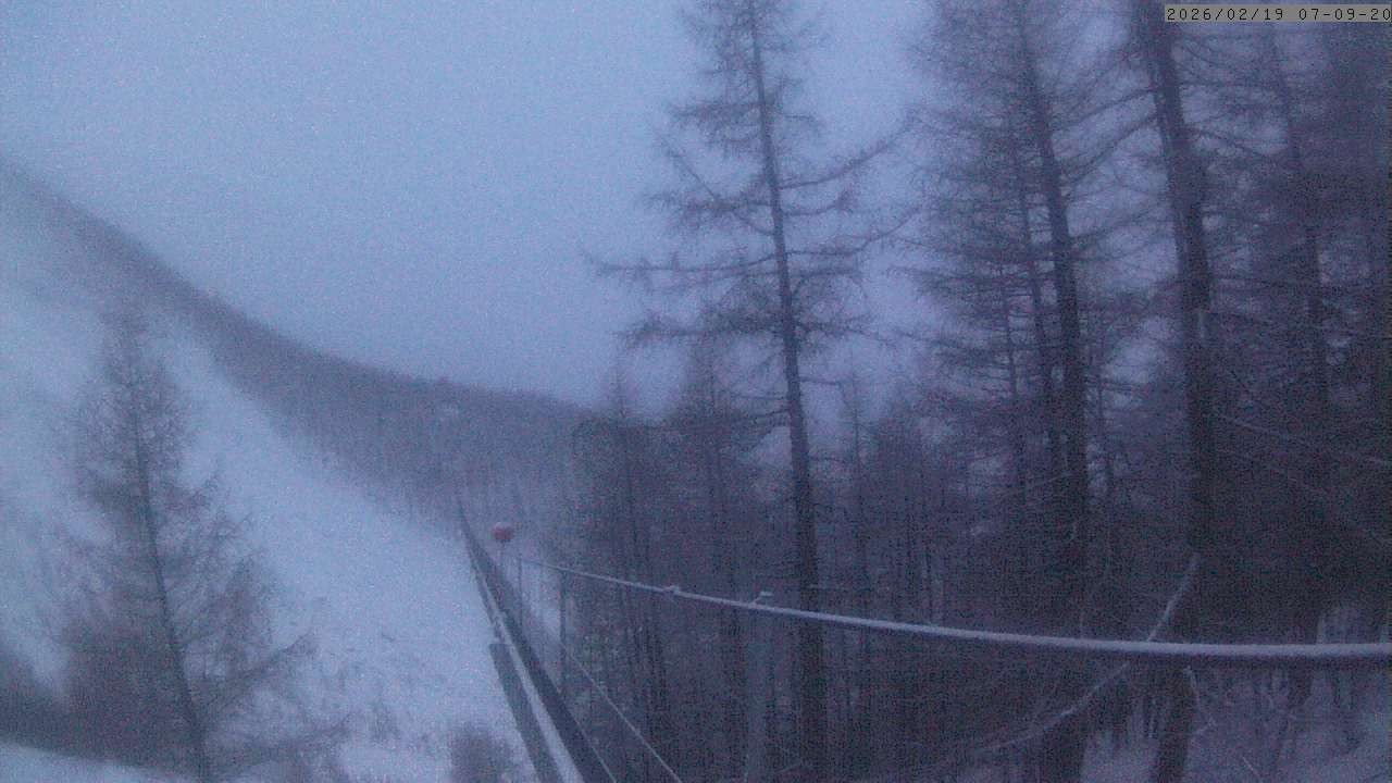 Archiv Foto Webcam Grächen: Charles Kuonen Hängebrücke