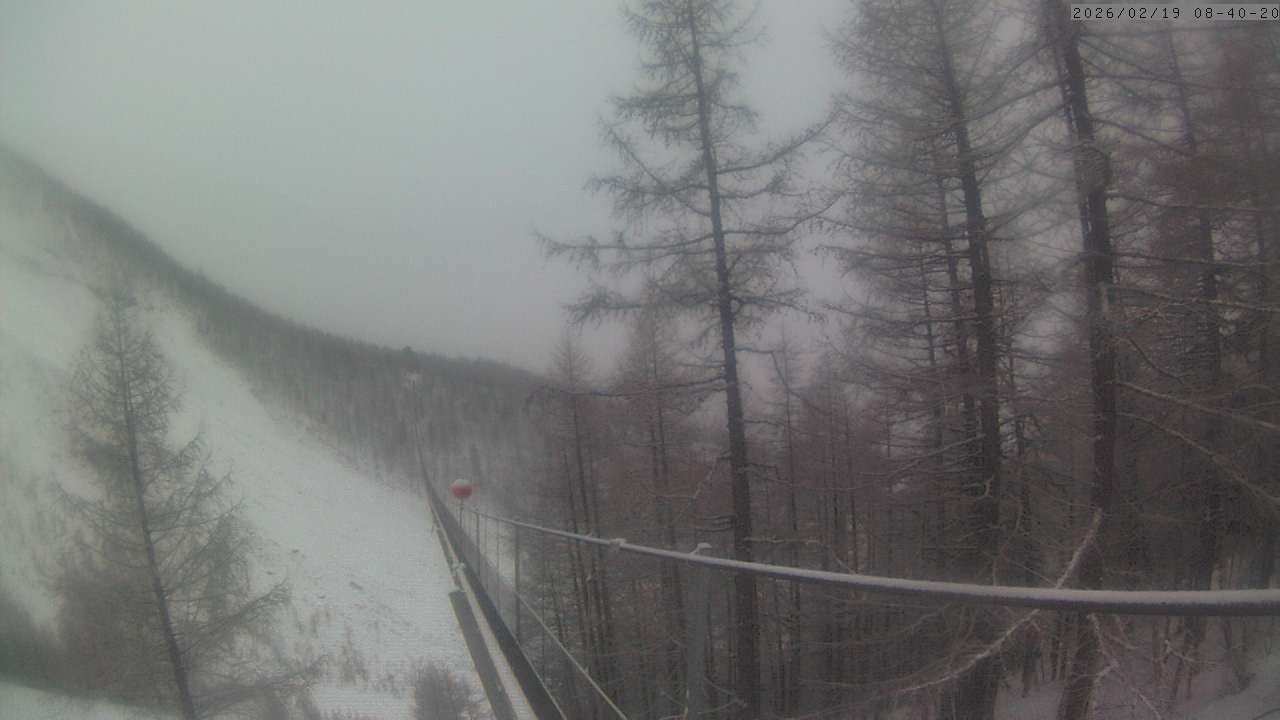 Archiv Foto Webcam Grächen: Charles Kuonen Hängebrücke