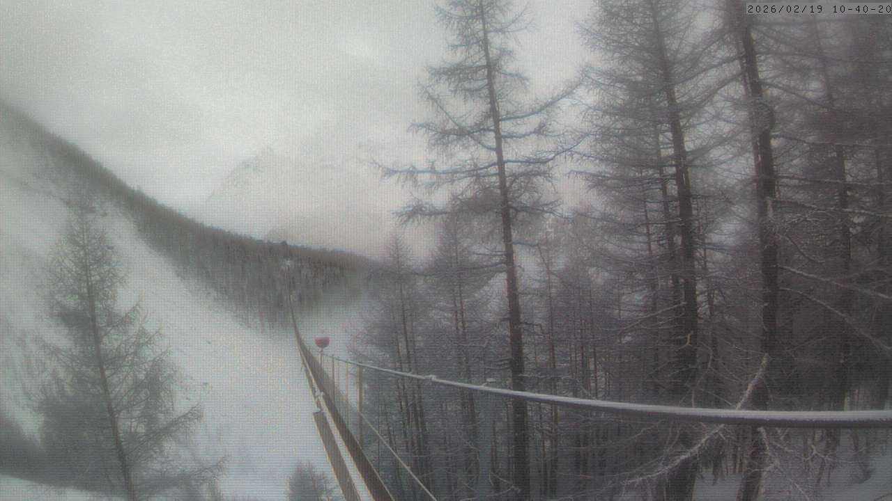 Archiv Foto Webcam Grächen: Charles Kuonen Hängebrücke