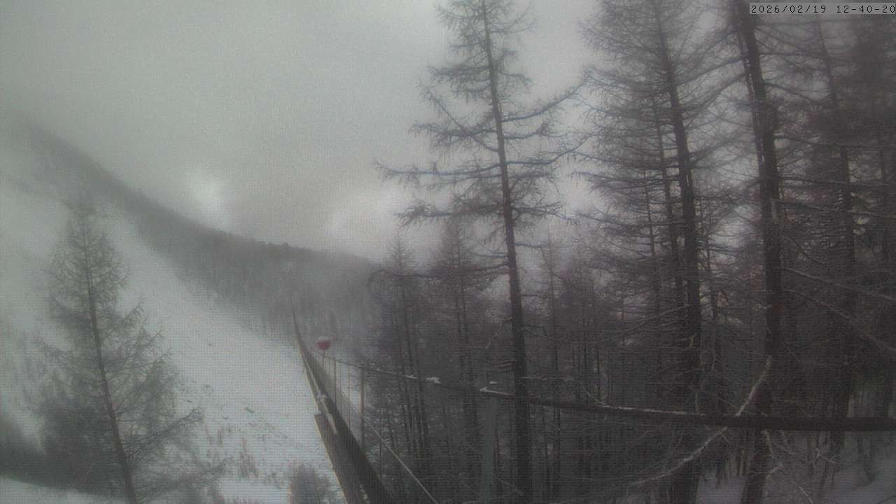 Archiv Foto Webcam Grächen: Charles Kuonen Hängebrücke