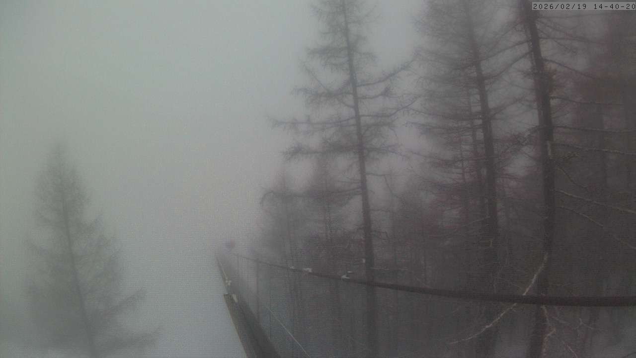 Archiv Foto Webcam Grächen: Charles Kuonen Hängebrücke