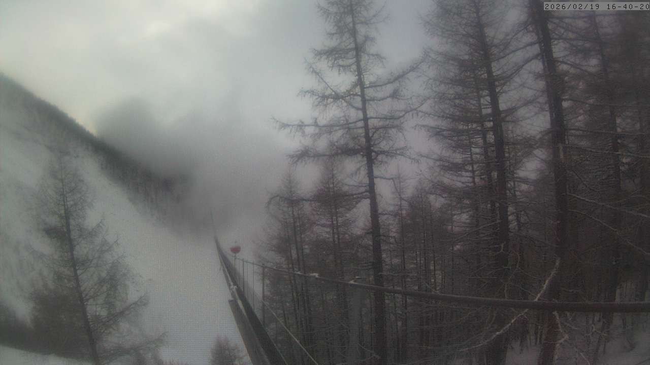 Archiv Foto Webcam Grächen: Charles Kuonen Hängebrücke