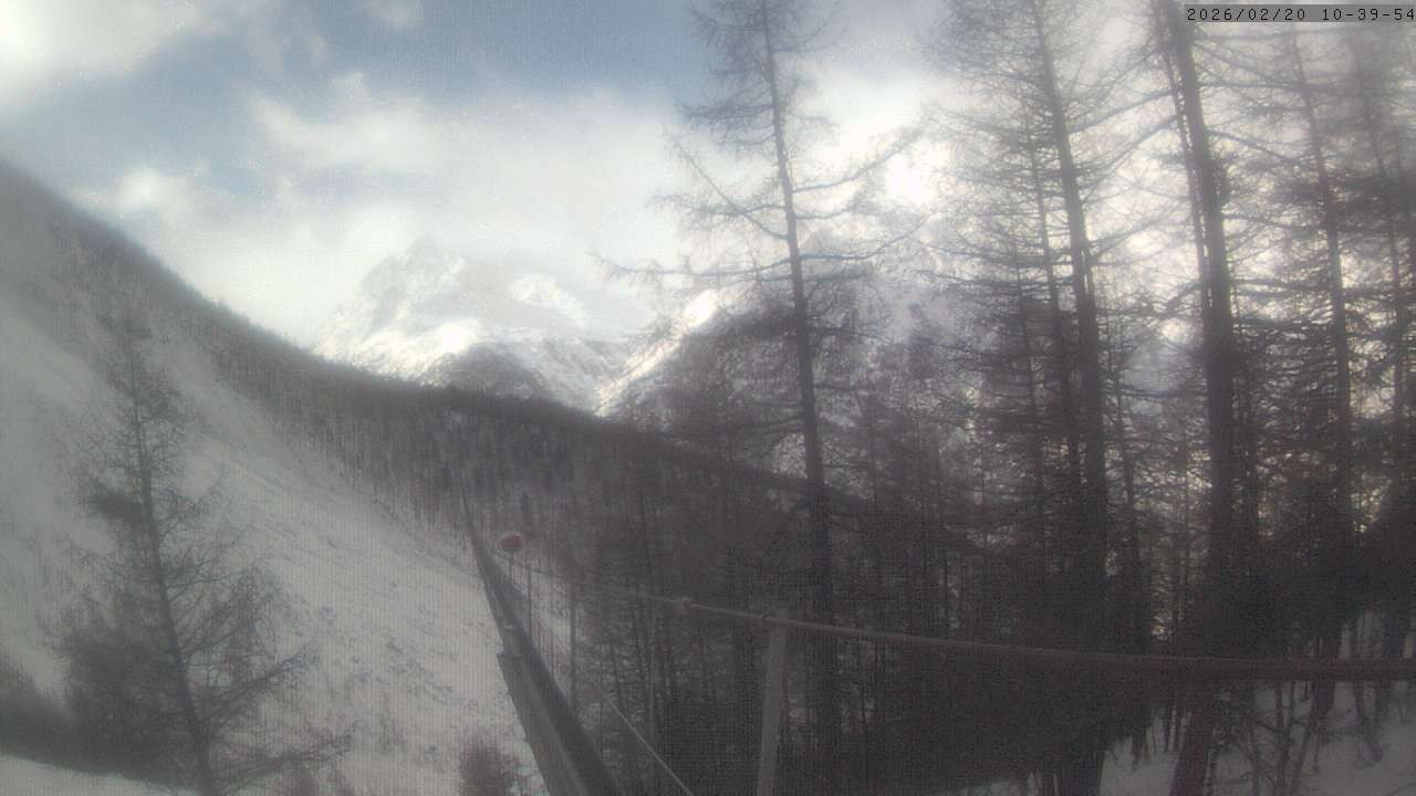 Archiv Foto Webcam Grächen: Charles Kuonen Hängebrücke