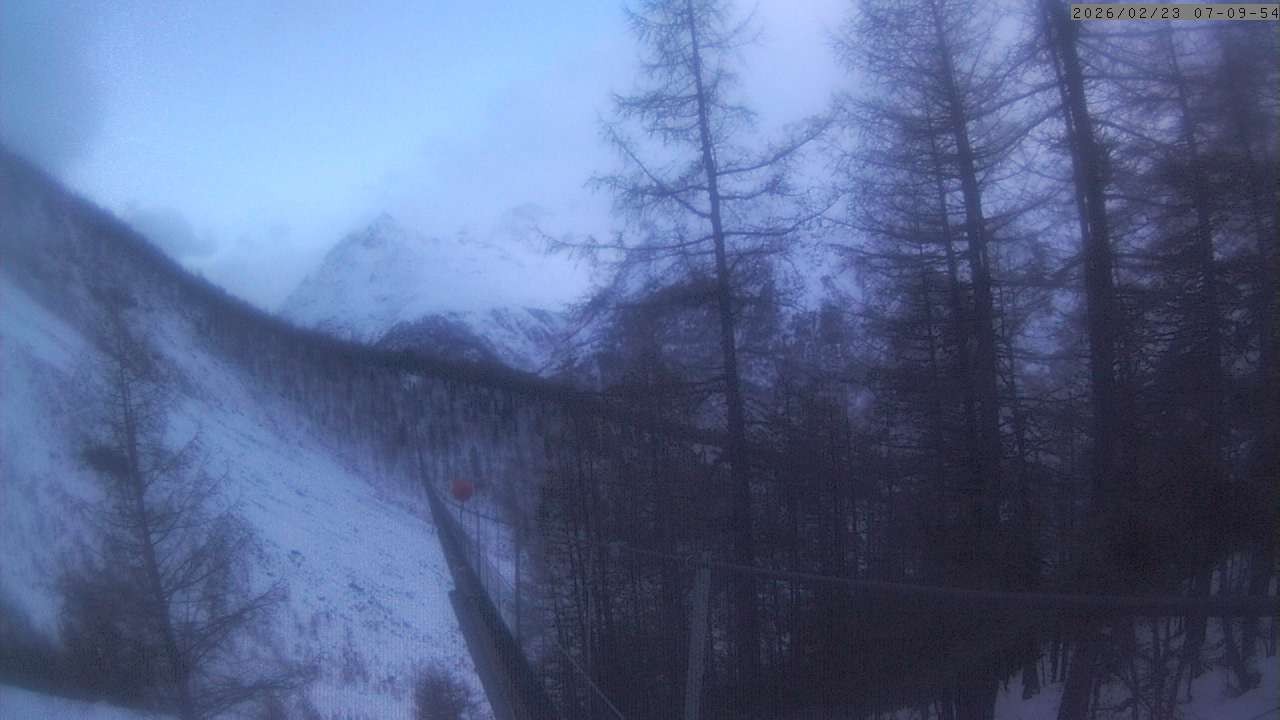 Archiv Foto Webcam Grächen: Charles Kuonen Hängebrücke