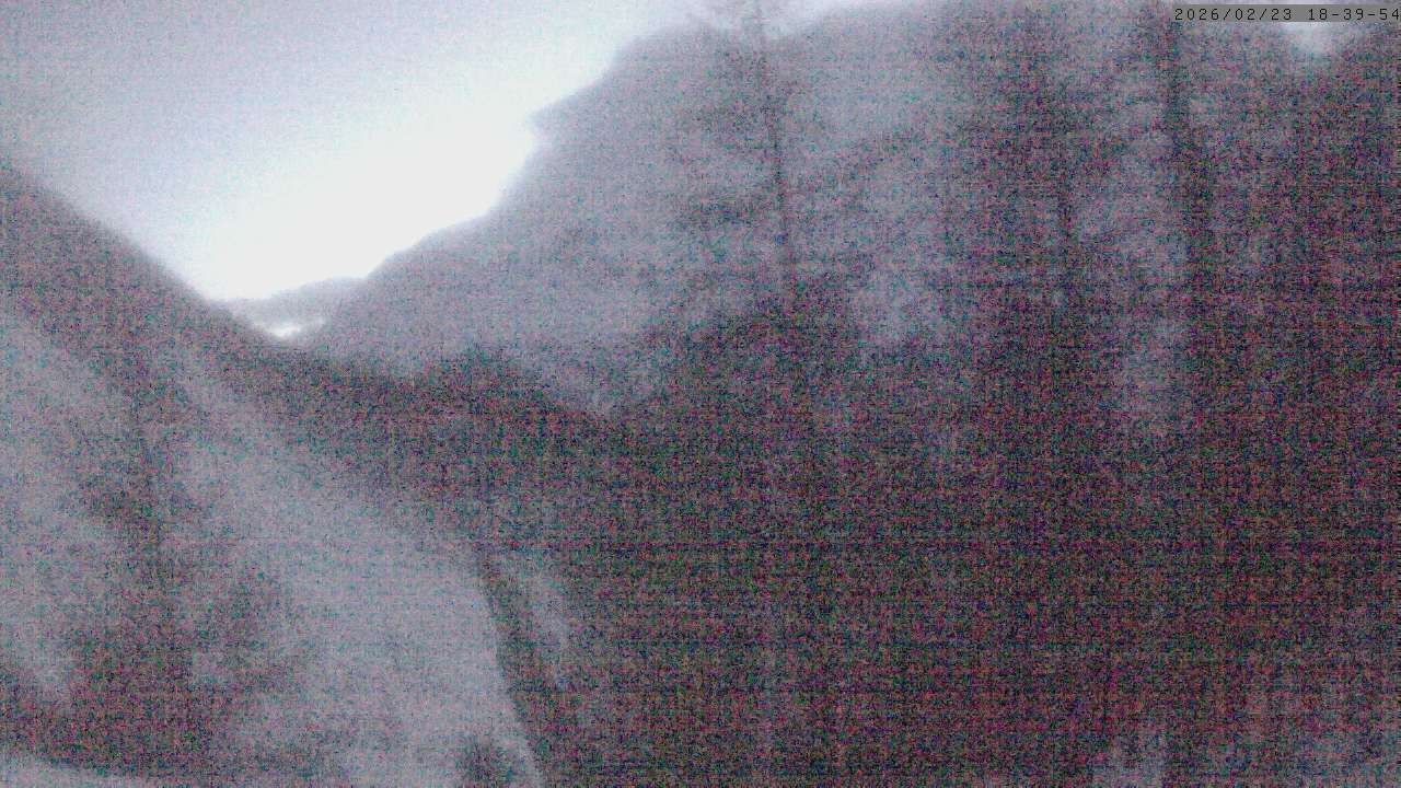 Archiv Foto Webcam Grächen: Charles Kuonen Hängebrücke