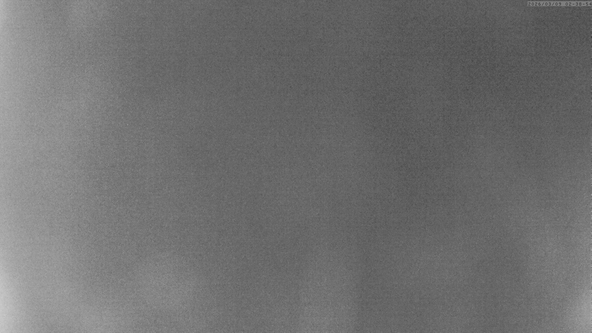 Archiv Foto Webcam Grächen: Charles Kuonen Hängebrücke