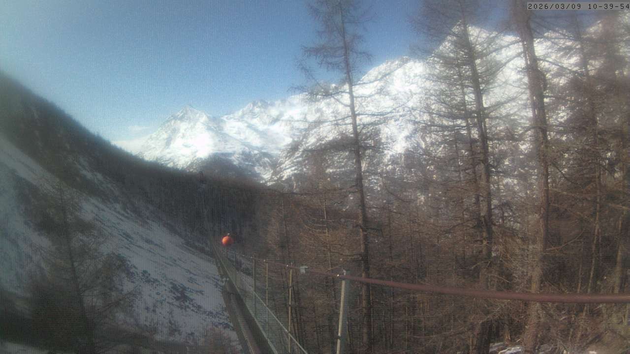 Archiv Foto Webcam Grächen: Charles Kuonen Hängebrücke