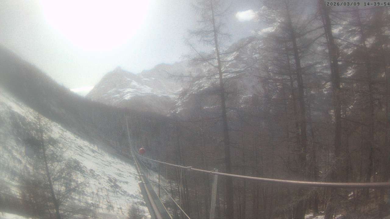 Archiv Foto Webcam Grächen: Charles Kuonen Hängebrücke