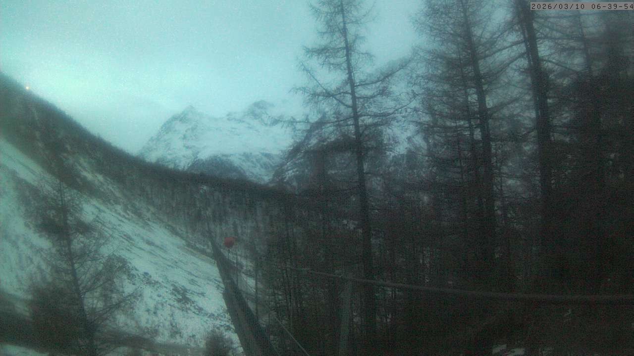 Archiv Foto Webcam Grächen: Charles Kuonen Hängebrücke