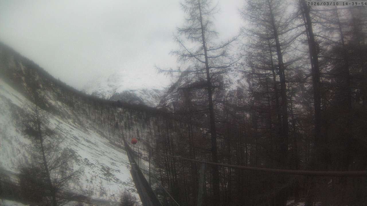 Archiv Foto Webcam Grächen: Charles Kuonen Hängebrücke