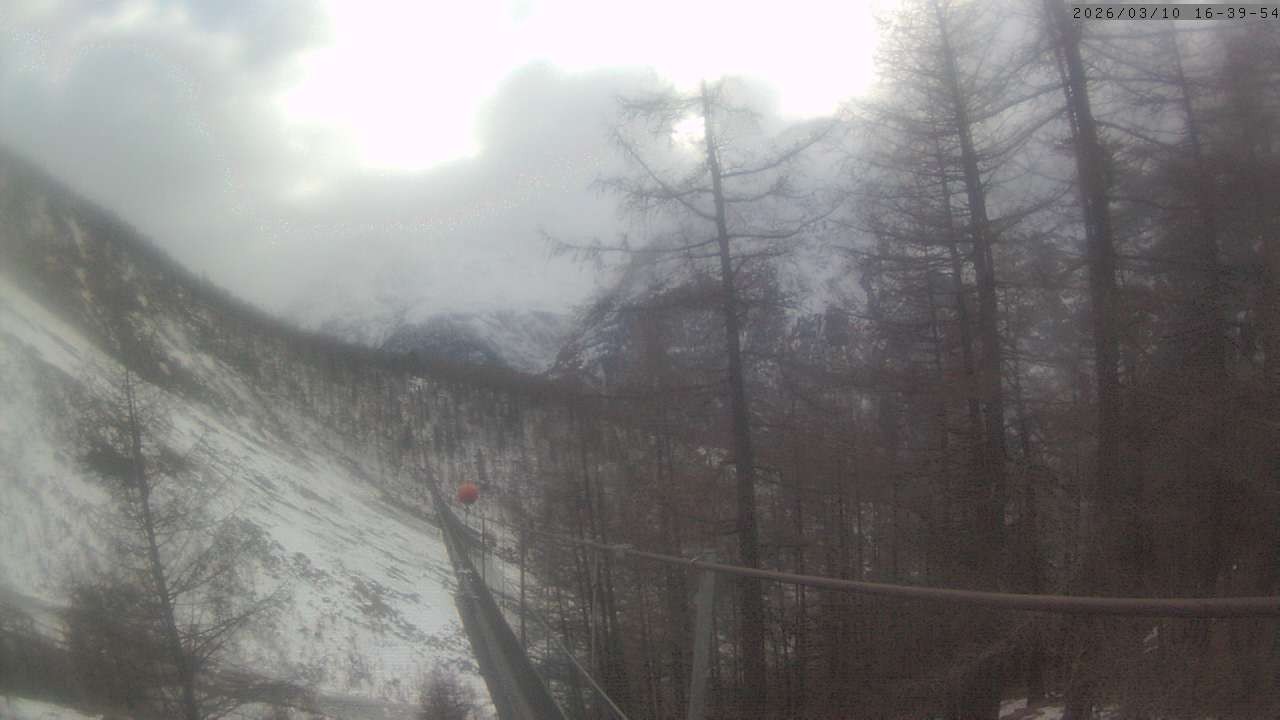 Archiv Foto Webcam Grächen: Charles Kuonen Hängebrücke