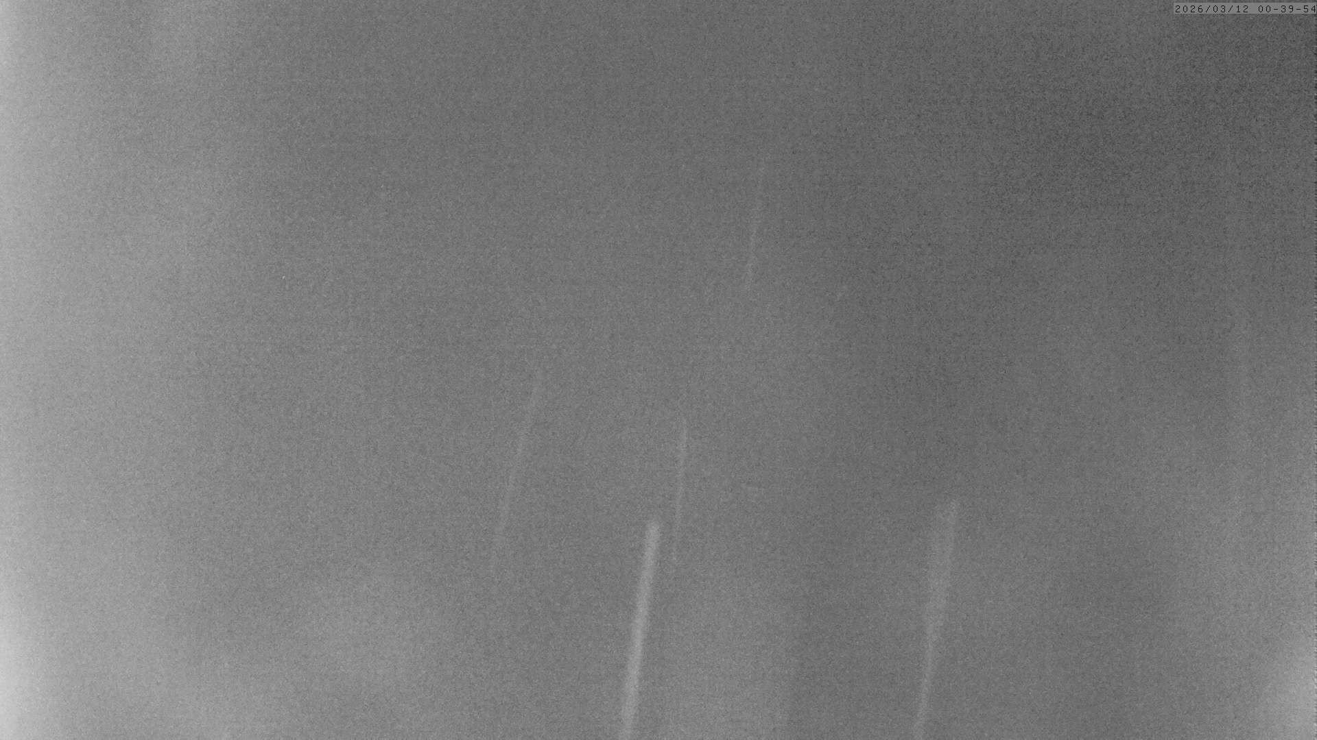 Archiv Foto Webcam Grächen: Charles Kuonen Hängebrücke