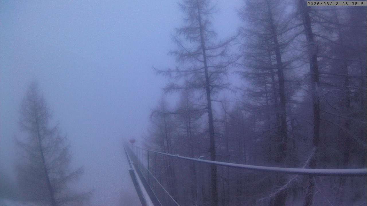 Archiv Foto Webcam Grächen: Charles Kuonen Hängebrücke