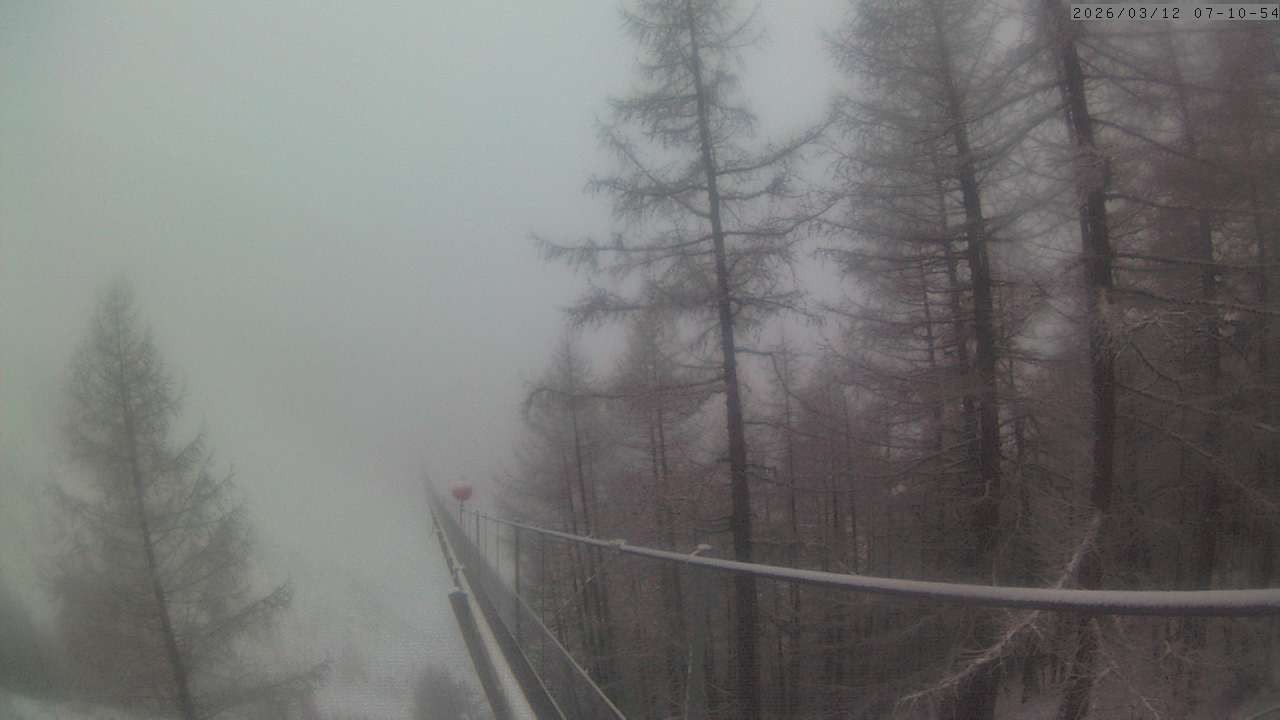 Archiv Foto Webcam Grächen: Charles Kuonen Hängebrücke