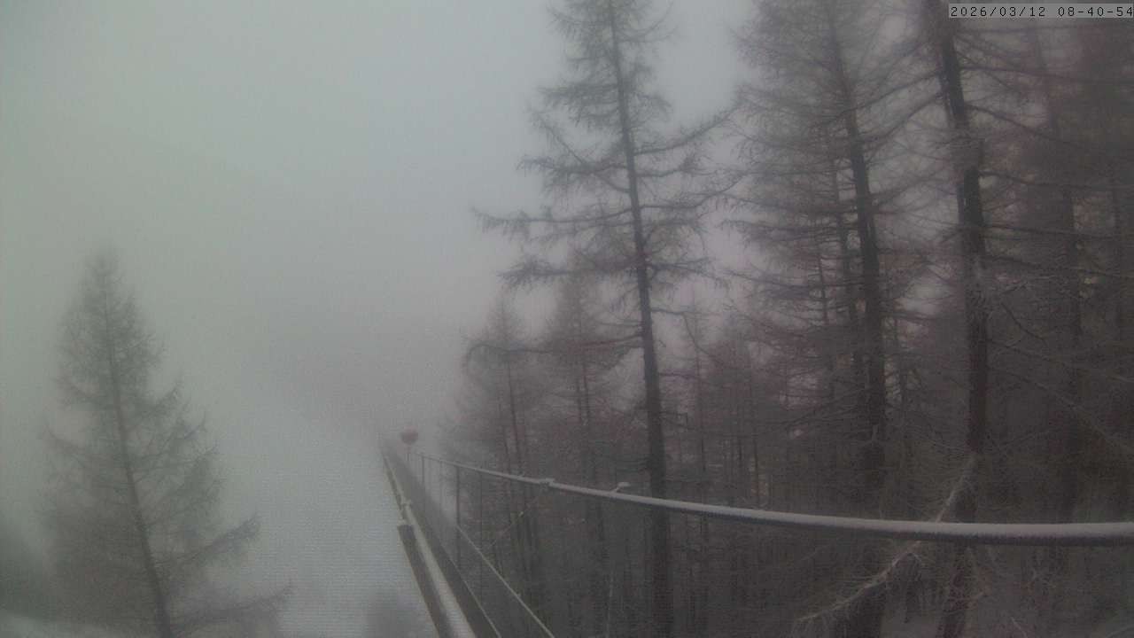 Archiv Foto Webcam Grächen: Charles Kuonen Hängebrücke