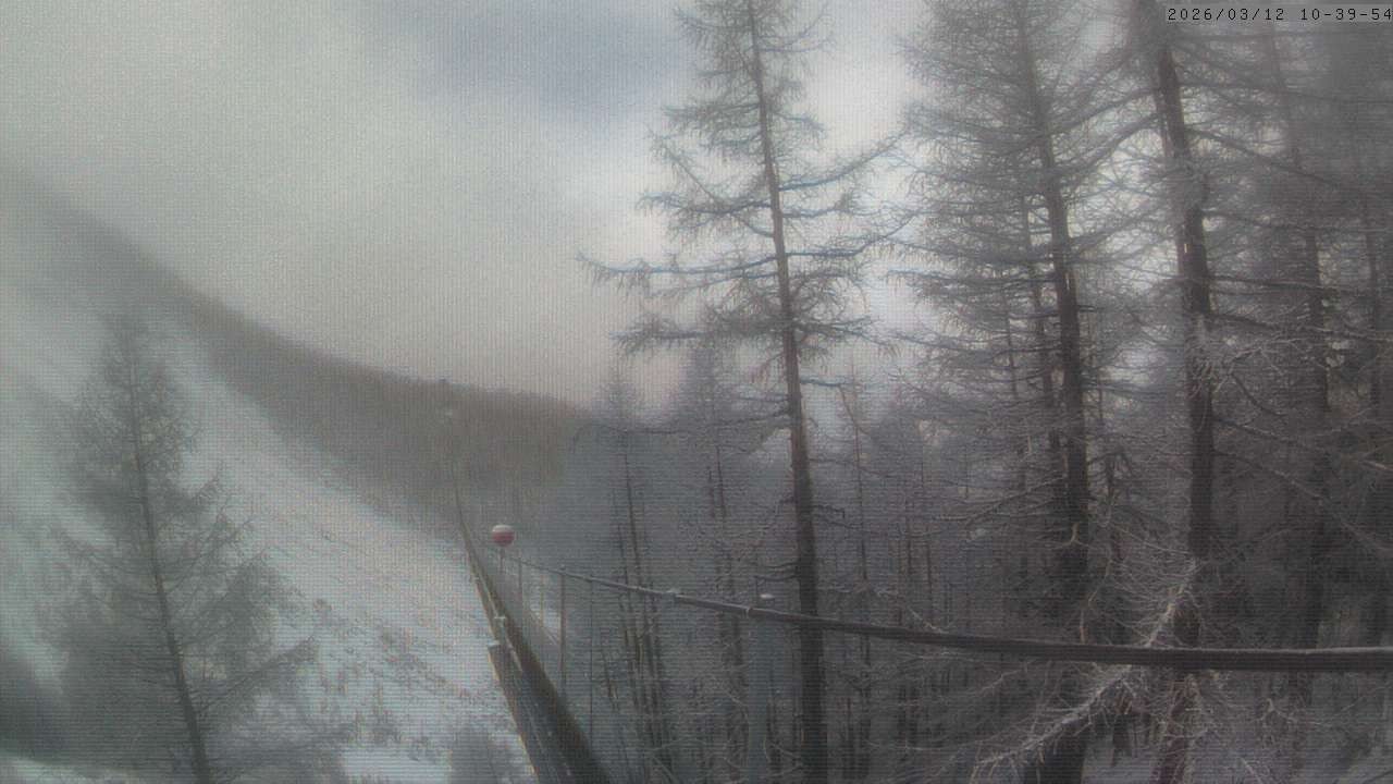 Archiv Foto Webcam Grächen: Charles Kuonen Hängebrücke