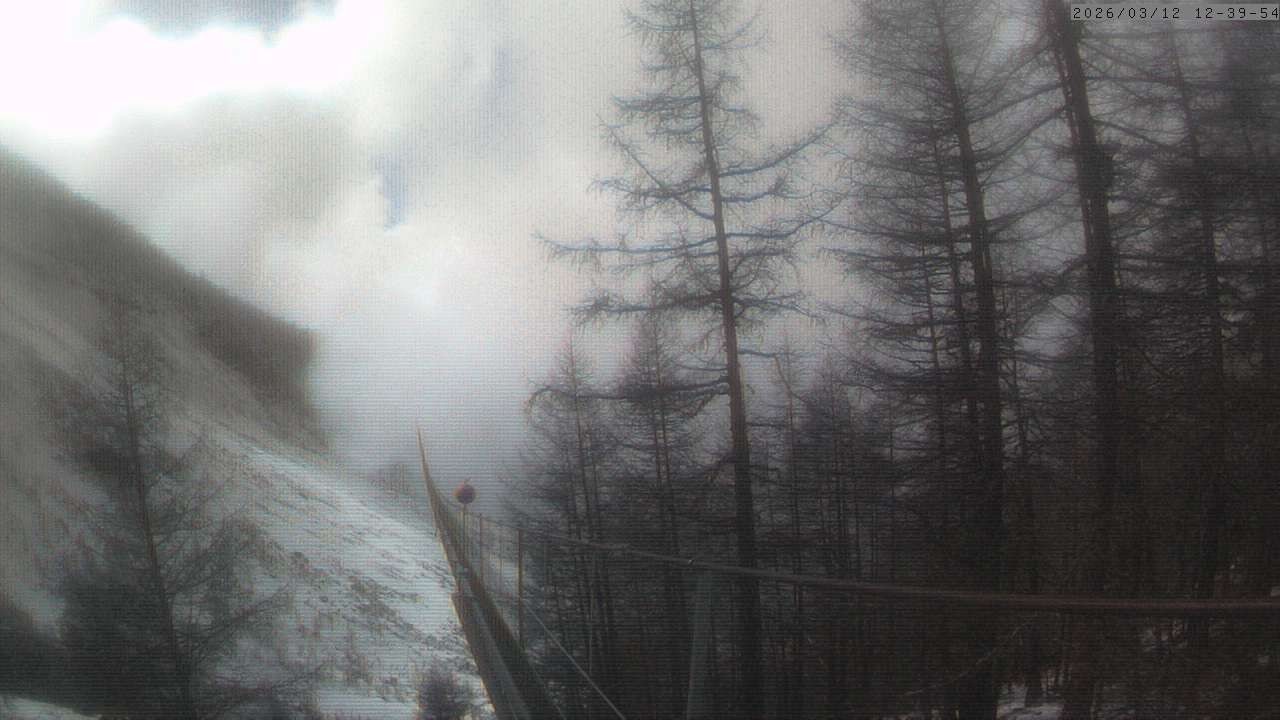 Archiv Foto Webcam Grächen: Charles Kuonen Hängebrücke