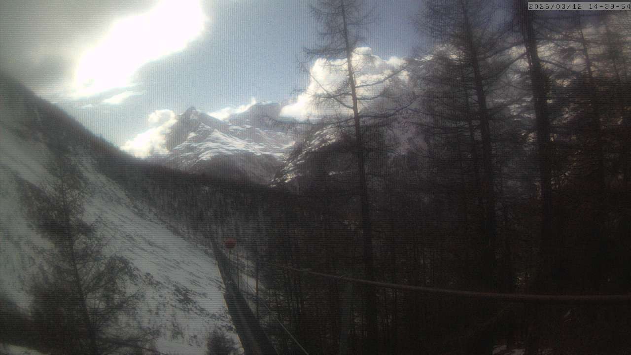 Archiv Foto Webcam Grächen: Charles Kuonen Hängebrücke