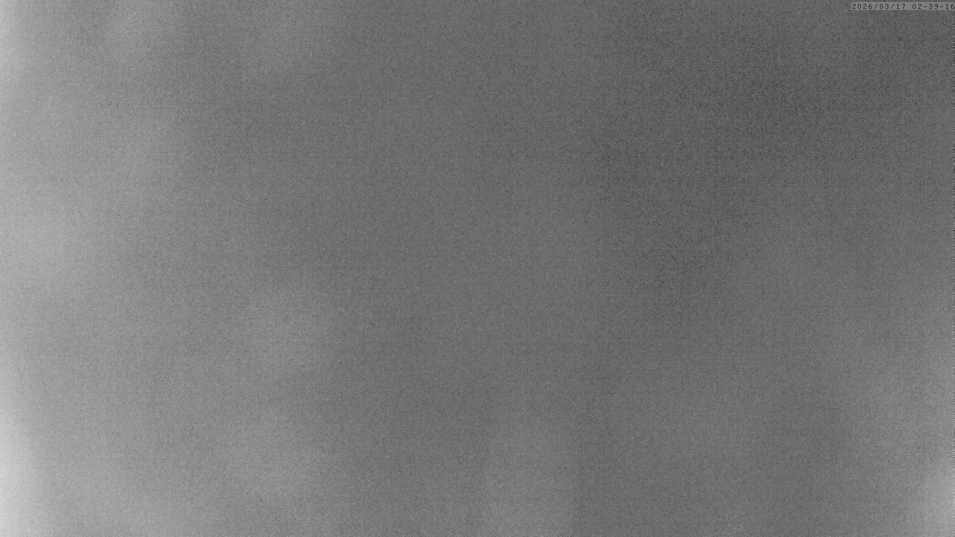 Archiv Foto Webcam Grächen: Charles Kuonen Hängebrücke