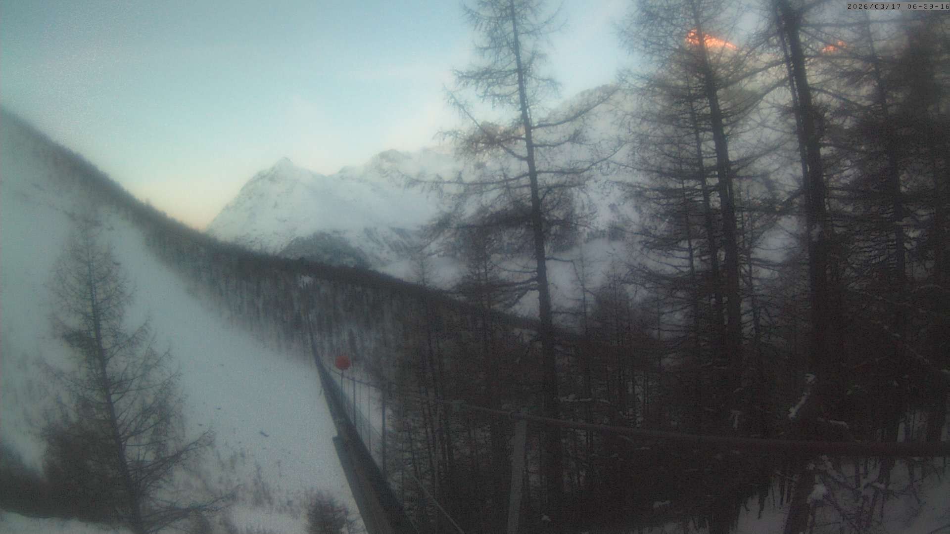 Archiv Foto Webcam Grächen: Charles Kuonen Hängebrücke