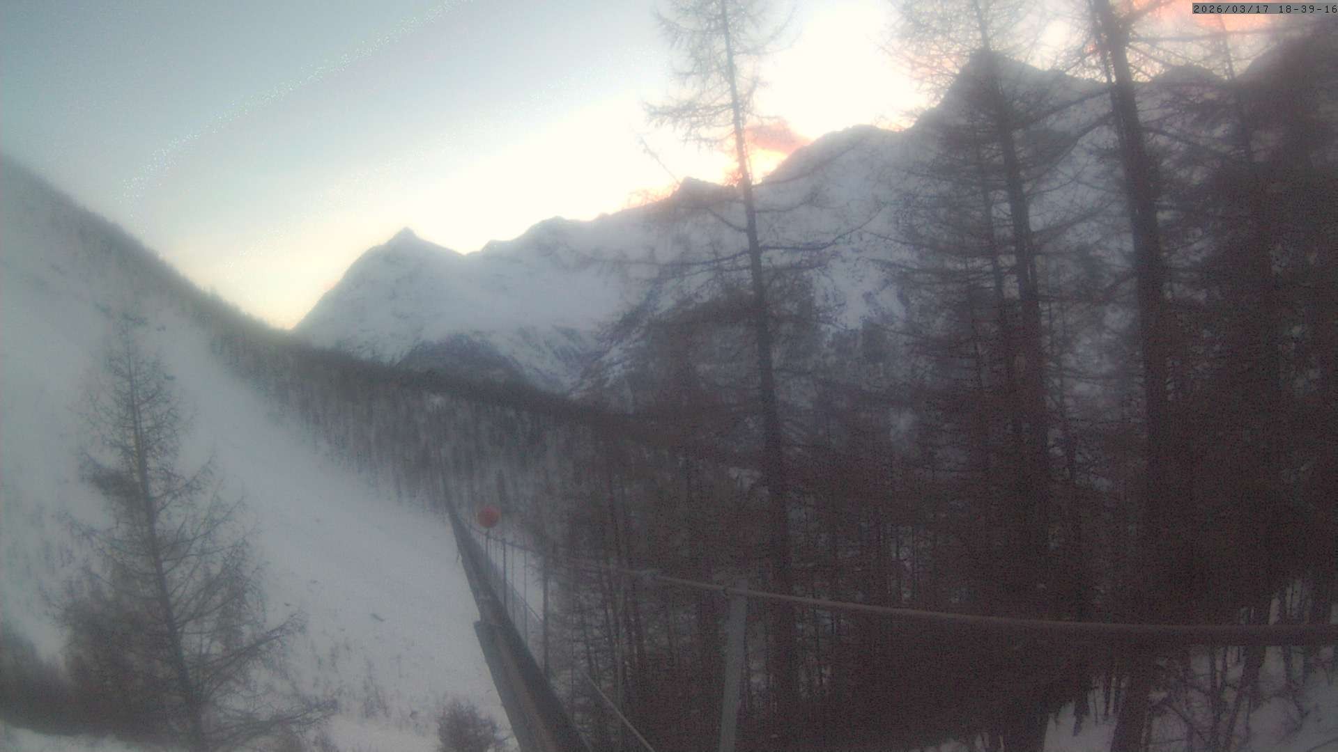 Archiv Foto Webcam Grächen: Charles Kuonen Hängebrücke