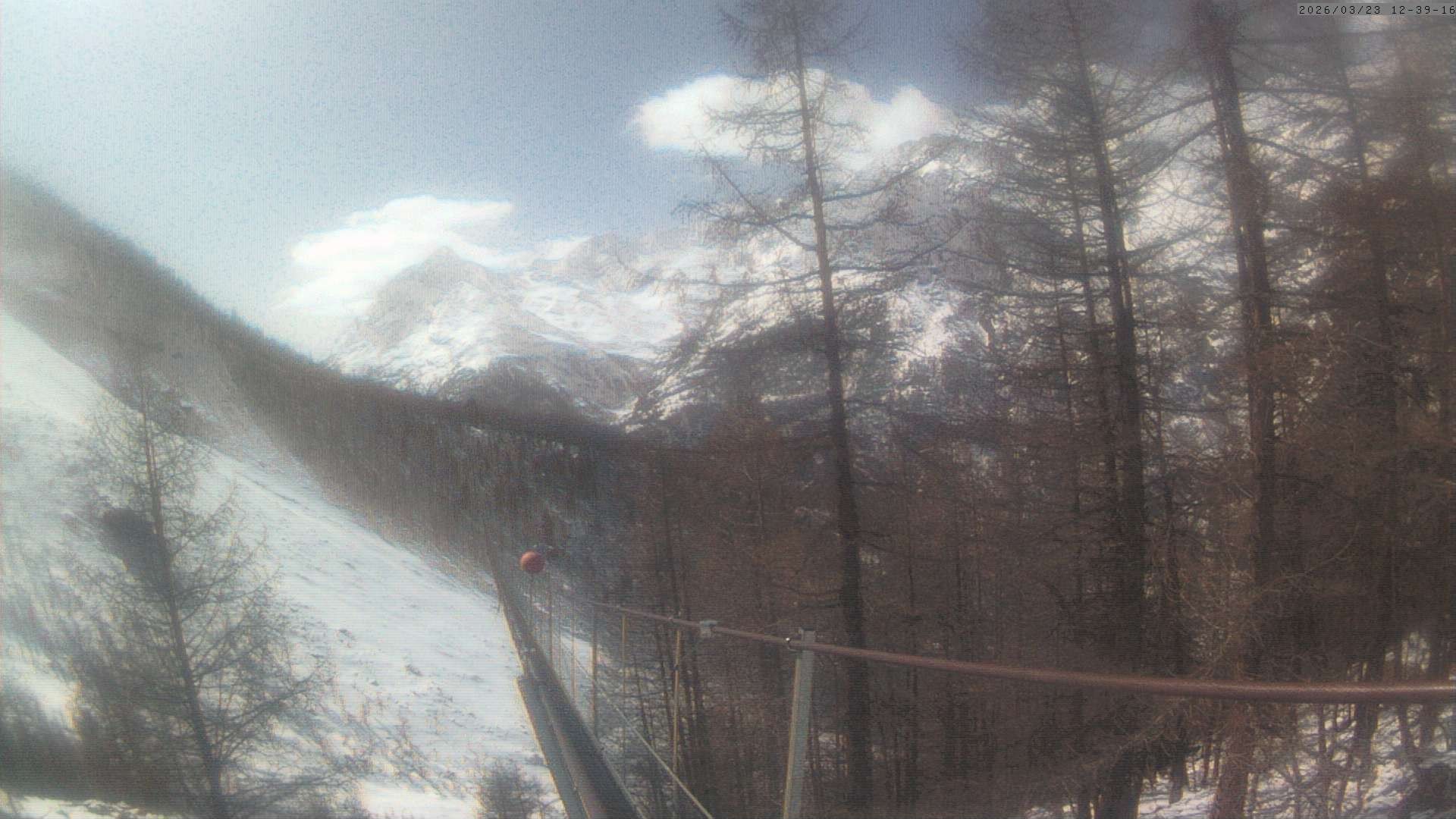 Archived image Webcam Grächen - View Suspension Bridge Charles Kuonen