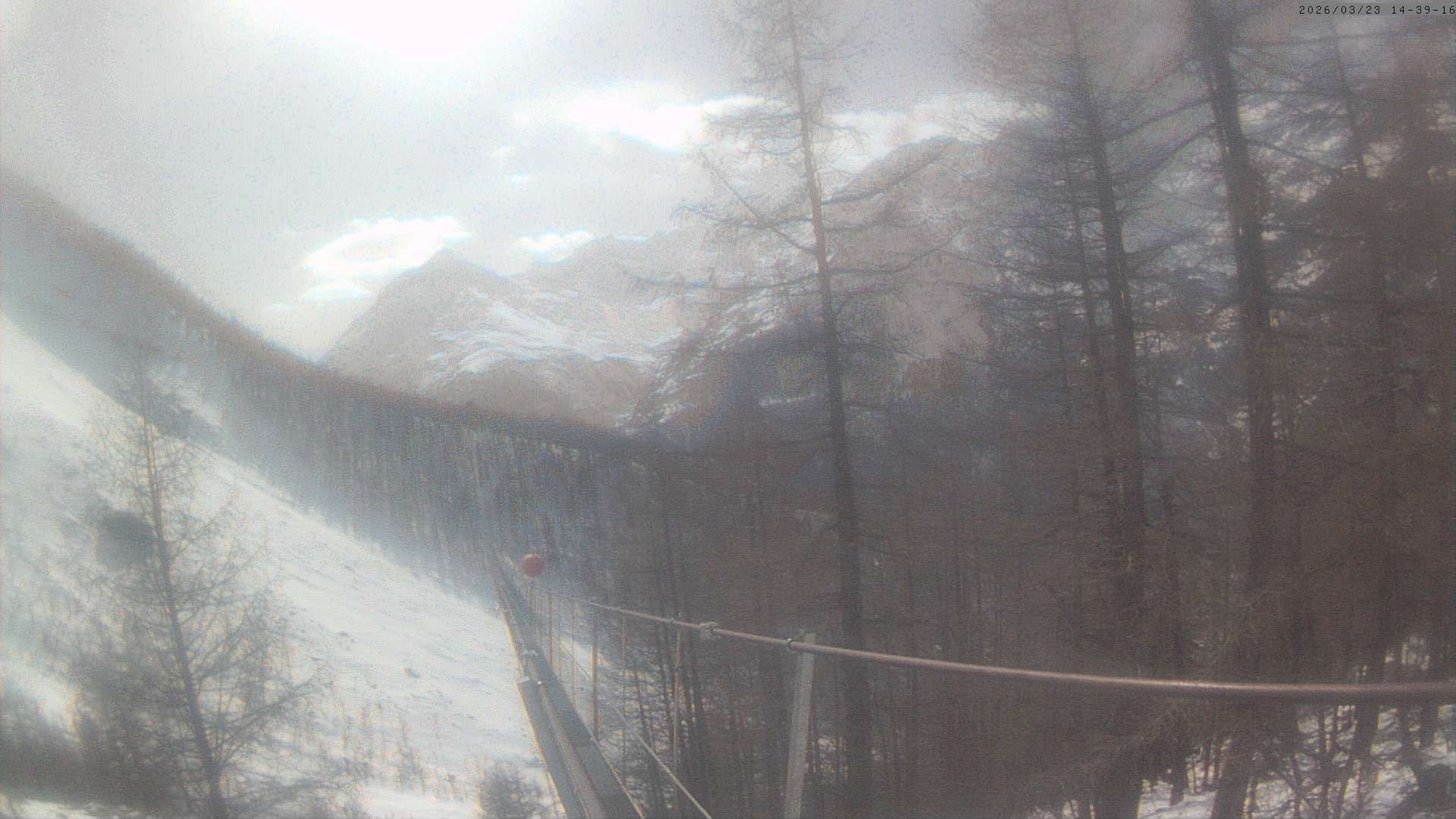 Archived image Webcam Grächen - View Suspension Bridge Charles Kuonen