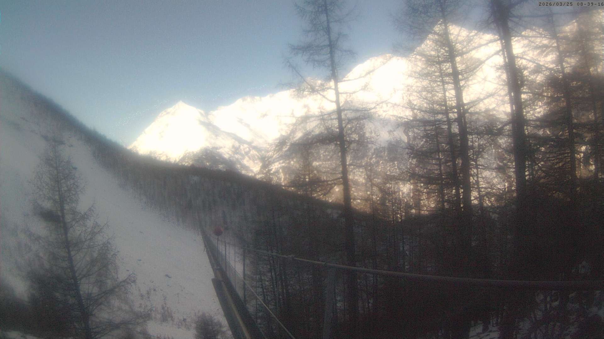 Archiv Foto Webcam Grächen: Charles Kuonen Hängebrücke